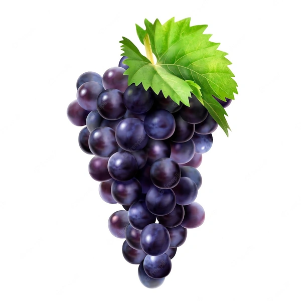 Bleack Grapes ( काले अंगूर )