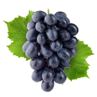 Bleack Grapes ( काले अंगूर )