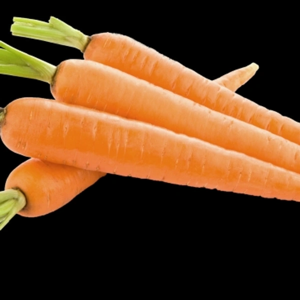 Carrot Gajar  ( गाजर )