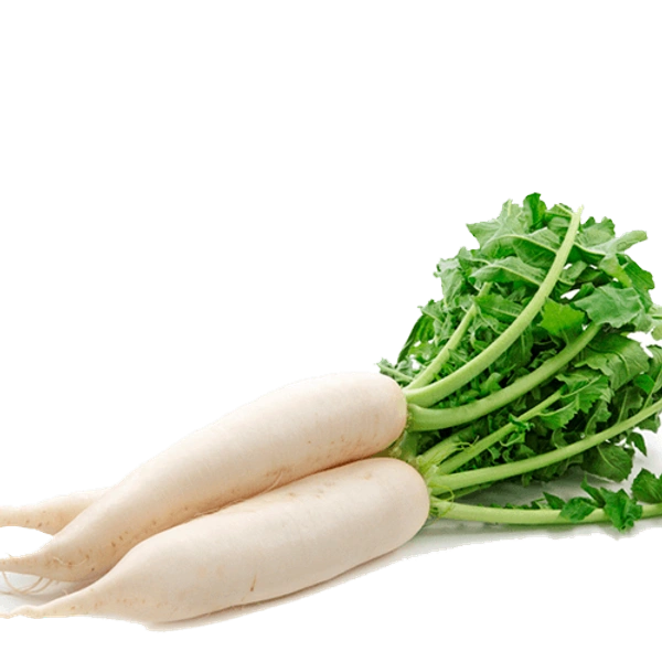 Radish Muli  ( मूली  )