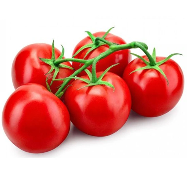 Tomato Tamatar ( टमाटर  )