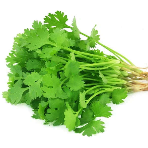 Coriander