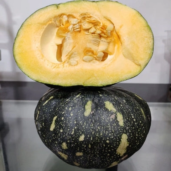 Kaddu Kumhra  ( कददू ,कुम्हडा )
