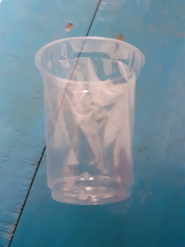 Plastic Glass