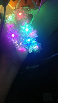 Diwali Special 