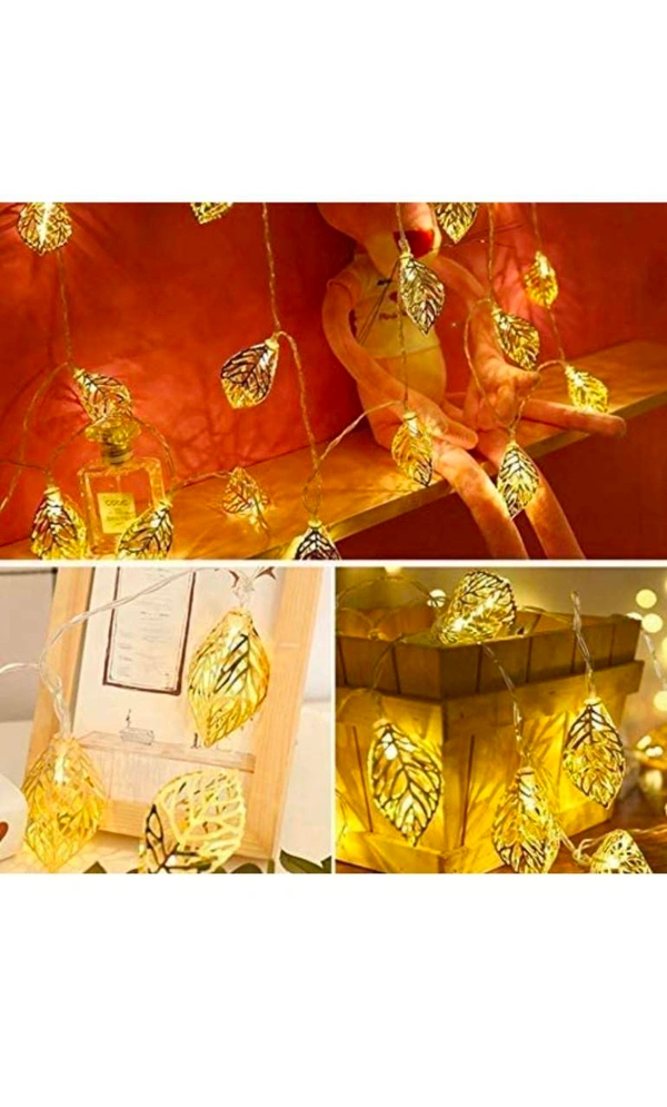 Diwali Special Offers 
