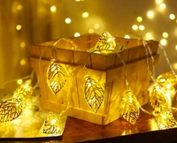 Diwali Special Offers 