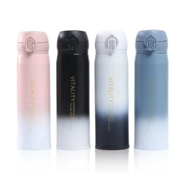 Stainless Steel Bottle 420ml (GBT-3361)