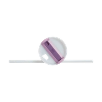 Stanley Quencher H2.0 | 1.18L | Insulated Tumbler (Purple)