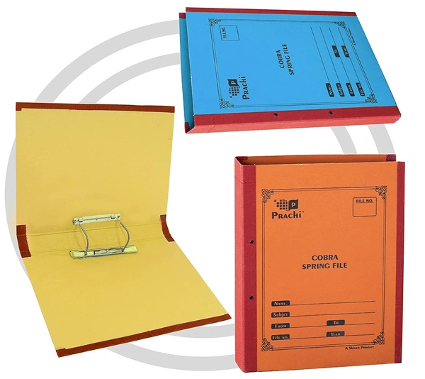 Cobra / Gadar Spring File -24kg i20