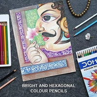 Doms Pencil Color Full (MRP-60)  - 12 Color Set