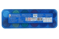 Doms Poster Color 12 Shades