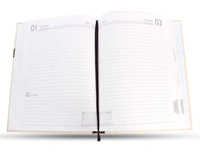 V-361 Diary 2023 B5 Nescafe 1 dt Cut spl m/c