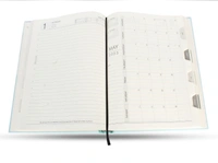 V-384 Diary 2023 B5 Nescafe 1 dt natural docter dairy