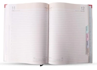 V-373 Diary 2023 B5 Nescafe 1 dt Multicolor spl