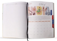 V-973 Diary 2023 B5 India Diary