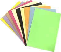 Color Paper A4 (Pack Of 100 Sheets)