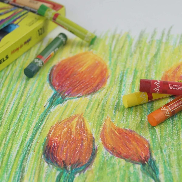 Camel Oil Pastel 12 Shades MRP-50