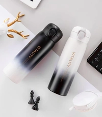 Stainless Steel Bottle 420ml (GBT-3361)