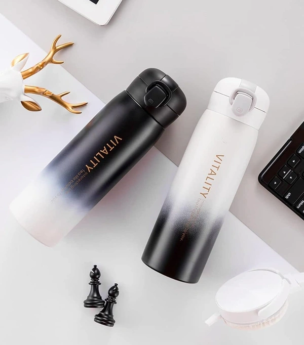 Stainless Steel Bottle 420ml (GBT-3361)