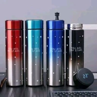 Temperature Bottle Mettalic 420ml