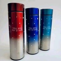 Temperature Bottle Mettalic 420ml