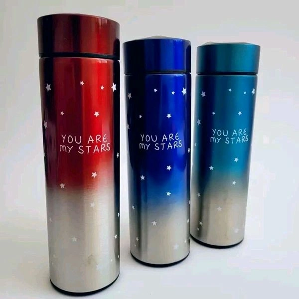 Temperature Bottle Mettalic 420ml