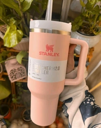 Stanley Quencher | 1.18L | Insulated Tumbler (Baby Pink)
