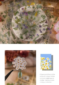 Sheet Transparent Pressed Flower Stickers, Dried Resin Flowers Stickers & Plant Stickers (6 Sheets)