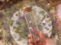 Sheet Transparent Pressed Flower Stickers, Dried Resin Flowers Stickers & Plant Stickers (6 Sheets)