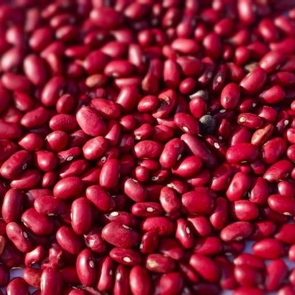 MG Rajma Sharmili 500g
