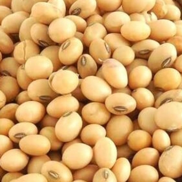 MG Soya Bean 500g
