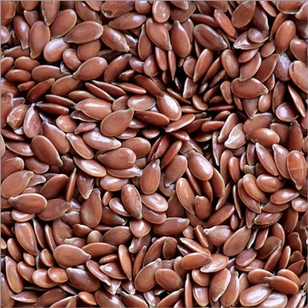 MG Flox Seeds 100Gm