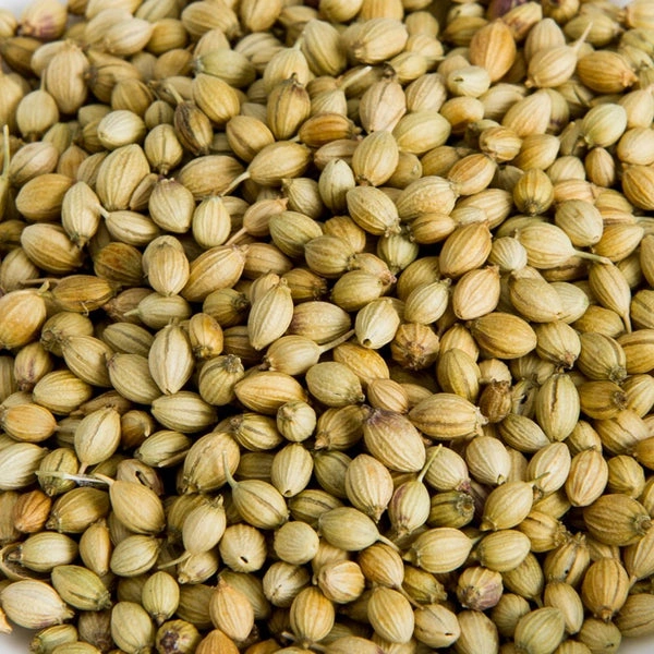 MG Coriander Whole 100Gm