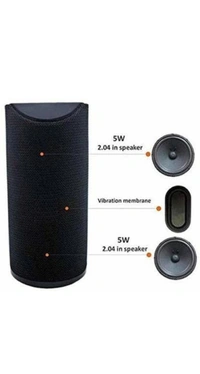 Qexle TG 113  Best  Boost Speaker - Black