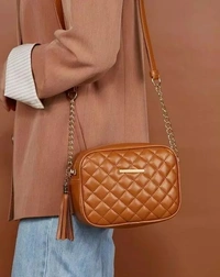 Graceful Stylish Women Slingbags - Free Size