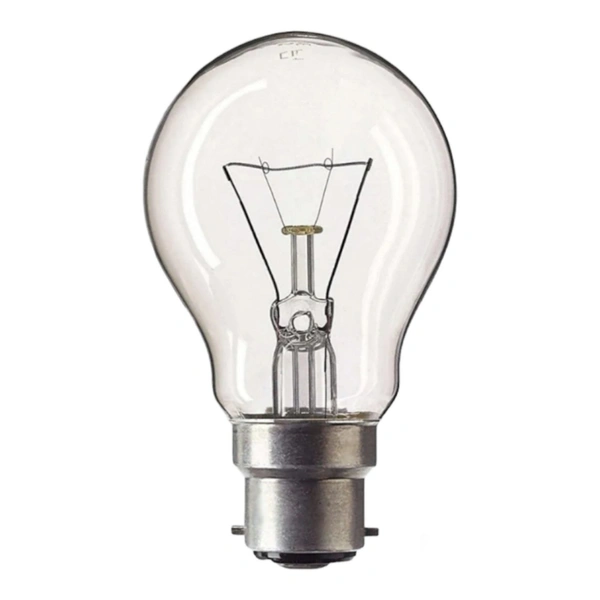 100w Bulb Pack Of 100