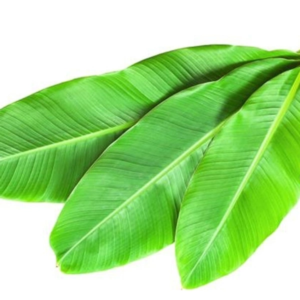 Kela Ka Patta Pack Of 3