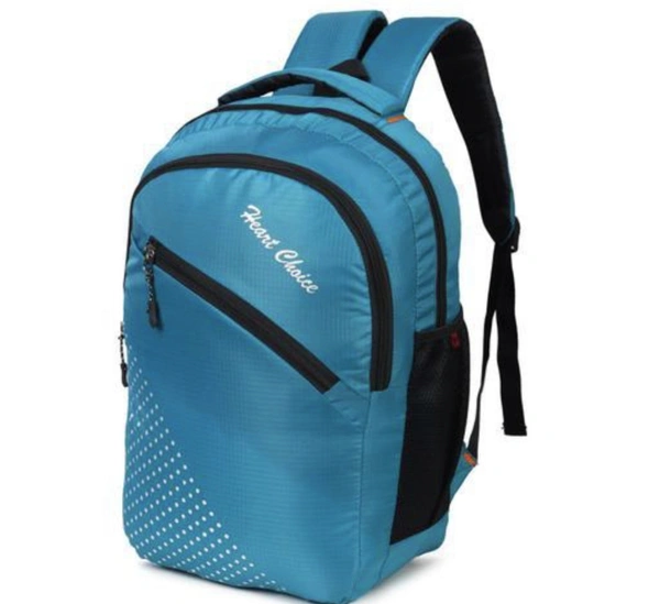 Fancy Fashionable Laptop Bag - Free size