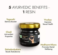 Kapiva Himalayan Shilajit/Shilajeet Resin 20g - Performance Booster for Endurance and Stamina