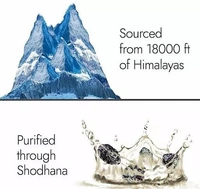 SEYA Pure Original Himalayan Shilajit/Shilajeet Resin 50g | Improve Strength & stamina for men & women | 4X Concentrated formula, Stronger Than Pills