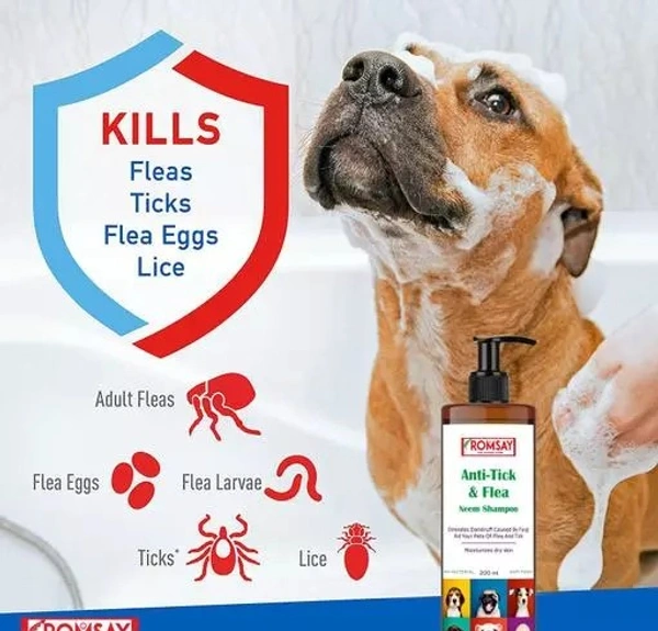 ROMSAY Anti-Tick & Flea Neem shampoo With Pet Bathing, Shampoo Dispenser, Gentle Body Scrub, Massage, Deep Cleaning Brush Pack Of 1