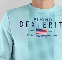 FLYIND VOGUE OUTFIT Men's Graphic Round Neck Blue Sweatshirts - XL