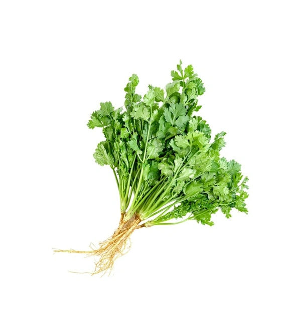 Coriander Bunch (Dhaniya Patta) 100g