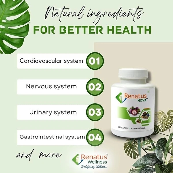 Renatus Nova Capsule 120 Ayurvedic - 12 Natural Ingredients for Overall Wellness - 120 Capsules