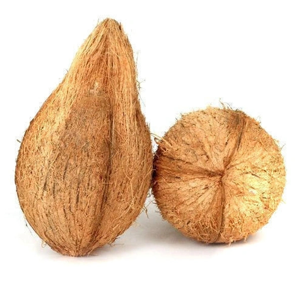 Coconut 1 Pcs