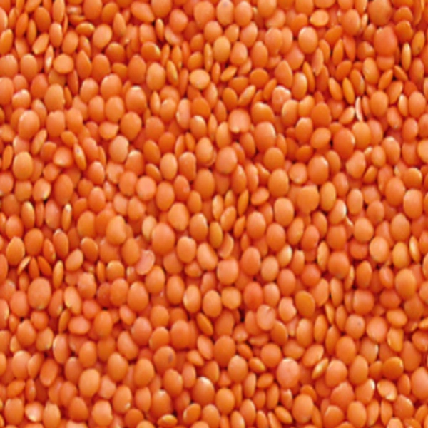 Dhooli Masoor  - 500gm, Green