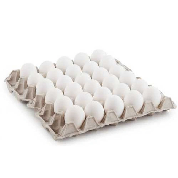 Frash Egg 24 Pcs 