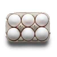 Fresh Egg 6 Pcs