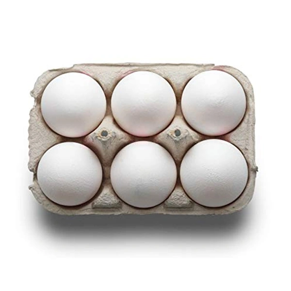 Fresh Egg 6 Pcs